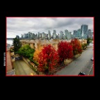 Cambie Bg LkgNW Trees_Oct 9_2016_HDR_A1782_pePop_2x2