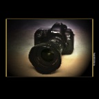 Canon 5D IV_Oct 27_2016_L1724_peIntnsunst_2x2