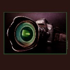 Canon 5D MkIII_Mar 29_2012_1106vSM_2x2