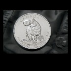 $5 Silver Coin_1993_2x2