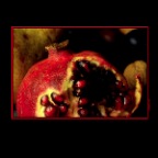 Pommegranate_'84_2_2x2