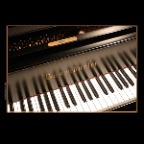 Dosendorfer Piano_9123_2x2