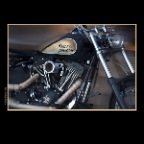 Harley Davidson_Oct 16_2011_9671_2x2