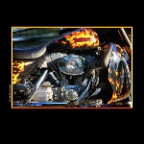 Harley Davidson_Tom_Aug 23_2014_HDR_F3161v_2_2x2