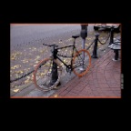 Bike_Nov 08_4523_2x2