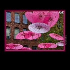 Umbrellas in Yaletown Art_Apr 16_2019_HDR_A4062_2x2