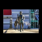 Terry Fox Statues_Nov 16_2014_HDR_F6701_2x2