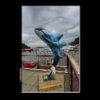 The Lookout_Horseshoe Bay Dolphin_May 22_2016_HDR_K4941_2x2