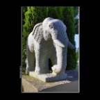 Salsbury Elephant_Jun 11_2014_HDR_F2715_2x2