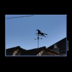 Weather Vane New West_Feb 12_2017_HDR_A0307_2x2