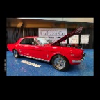 Mustang 1966_Mar 29_2014_HDR_E7412_2x2
