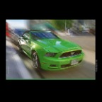 Mustang_Sep 15_2012_HDR_C0888_2x2