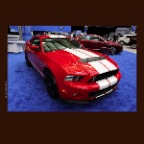 Mustang 2012_April 4_2012_C1043_2x2