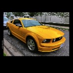 Mustang_Jun 17_2012_HDR_C7039_2x2