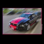 Ford Mustang_Jul 20_2016_HDR_L5853_2x2