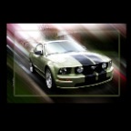Shelby Mustang_7465_2_2x2