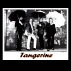 Tangerine_9144_2x2