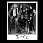 Tom Cat_1443_2x2