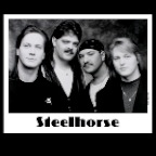 Steelhorse_5894_2x2