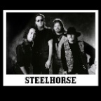 Steelhorse_5786_2x2