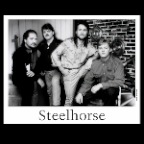 Steelhorse_5939_2x2