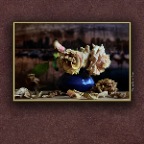 Flowers Dried_Jun 12_2018_HDR_C6372_peVintage_2x2