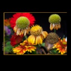 301 Raymur Flowers_Aug 21_2012_HDR_1818v_2x2