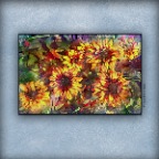 Flowers at 712 Woodland_July 9_2019_HDR_E6959_peWtr&Ink102&ExpMrg_2x2